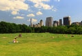 The Great Lawn in Central Park