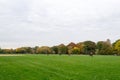 Great lawn druing the fall season Royalty Free Stock Photo