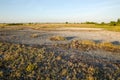 Great limestone plain