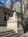 Great lion in front of library sculpture Royalty Free Stock Photo