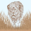 Great lion portrait