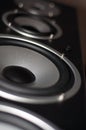 Great loud speakers. Royalty Free Stock Photo