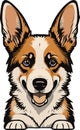 Great and lovely corgi dog vector art Royalty Free Stock Photo