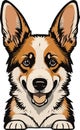 Great and lovely corgi dog vector art