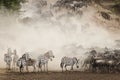 The Great Migration, Kenya