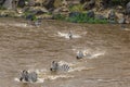 Great migration in Kenya. Masai mara, Serengeti, Africa Royalty Free Stock Photo