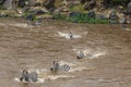 Great migration in Kenya. Masai mara, Serengeti, Africa