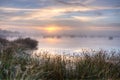 Great misty sunset over swamp Royalty Free Stock Photo