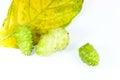 Great morinda white background in studio Royalty Free Stock Photo
