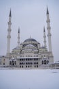 Great Mosque and Minarets in Snowy Weather Vertical Angle