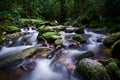 Great mossy on the rock and slow shutter for the water flow Royalty Free Stock Photo