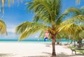 Great natural amazing view of Cuban Cayo Coco island beach with pretty fluffy palm tree in foreground Royalty Free Stock Photo