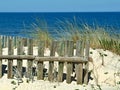 Dunes with white sand at Portugals west Atlantic coast Royalty Free Stock Photo