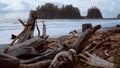 Great nature at La Push - The Beach at Quileute Reservation - travel photography Royalty Free Stock Photo