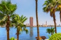 Great Nile scenery, image of the river, the palm bank and Gezira island, Cairo, Egypt