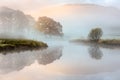 Great Oak tree with Autumn colours reflecting in misty river as the sun burns through the fog. River Brathay, Lake District, UK.