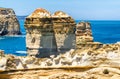 Great Ocean Road Coastline in Victoria State, Australia Royalty Free Stock Photo