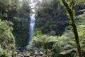 Great Ocean Road Royalty Free Stock Photo