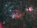 The Great Orion Nebula and Friends Royalty Free Stock Photo