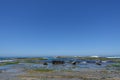 Great Otway National Park during low tide