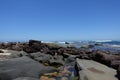 Great Otway National Park coastline during low tide and no clouds at the sky.