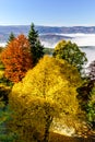 Great overcast over Alsace. View from top of the mountain.