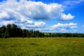 Great panorama. Green grass. Cumulus clouds in the blue sky.
