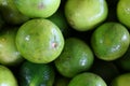 Citrus Limes on Display Closeup with Macro Lens Royalty Free Stock Photo