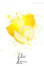 Great photo montage with explanting lemons on a white background