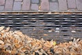 Steel Drainage Grate with Bricks and Leaves