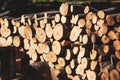 Great pile of wood logs at sunset ready for winter season. Royalty Free Stock Photo