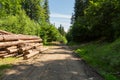 Great pile of wood logs at sunset ready for winter season. Royalty Free Stock Photo