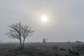 Great plain misty landscape Royalty Free Stock Photo