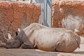 The Great Plains Zoo in Sioux Falls, South Dakota is a family fr