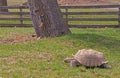 The Great Plains Zoo in Sioux Falls, South Dakota is a family fr