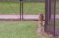 The Great Plains Zoo in Sioux Falls, South Dakota is a family fr