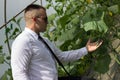 Great plants. Modern businessman looking at plants in his greenhouse and feeling confidence