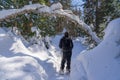 Snowshoeing in Laurentides mountains at Val David Royalty Free Stock Photo