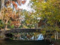 Great point of view in the beautiful City Park of New Orleans Royalty Free Stock Photo