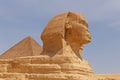 Great Pyramid behind Great Sphinx Royalty Free Stock Photo