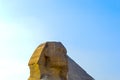 The Great pyramid of Giza in Egypt Cairo with Sphinx and camel Royalty Free Stock Photo