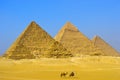 The Great pyramid of Giza in Egypt Cairo with Sphinx and camel