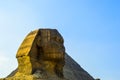 The Great pyramid of Giza in Egypt Cairo with Sphinx and camel Royalty Free Stock Photo