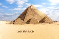 The Great Pyramids of Giza and a train of camels in the desert, Egypt