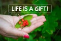 Life is a gift quote, super quality abstract business picture