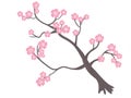 Love Japan sakura tree, super quality abstract business poster