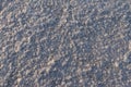 Close-up of salt marsh at Rann of Kutch - Rann utsav - white desert - Gujarat tourism Royalty Free Stock Photo