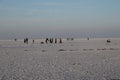 Rann of Kutch festival - Rann utsav - white desert - Gujarat tourism - India travel Royalty Free Stock Photo