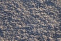 Close-up of salt marsh at Rann of Kutch - Rann utsav - white desert - Gujarat tourism Royalty Free Stock Photo