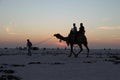 Tourists enjoying camel ride during sunset at Rann of Kutch festival - Rann utsav - white desert - Gujarat tourism - India travel Royalty Free Stock Photo